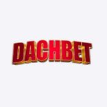 DachBet Casino Logo